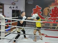 开云-拳击大奖赛上演强强对话，东城犀牛队逆转辽东飞鹰队，团队配合流畅；传控打穿防线的简单介绍